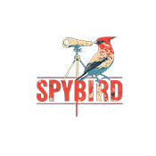 Spybird Interactive